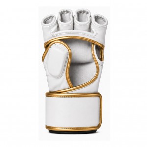 MMA Gloves