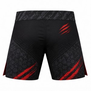 MMA Shorts