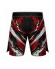 MMA Shorts