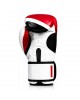 Training Gloves