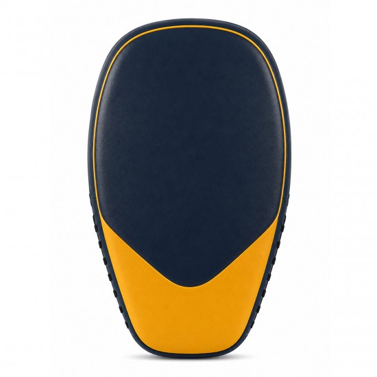 Focus Mitt