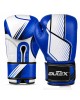 Training Gloves